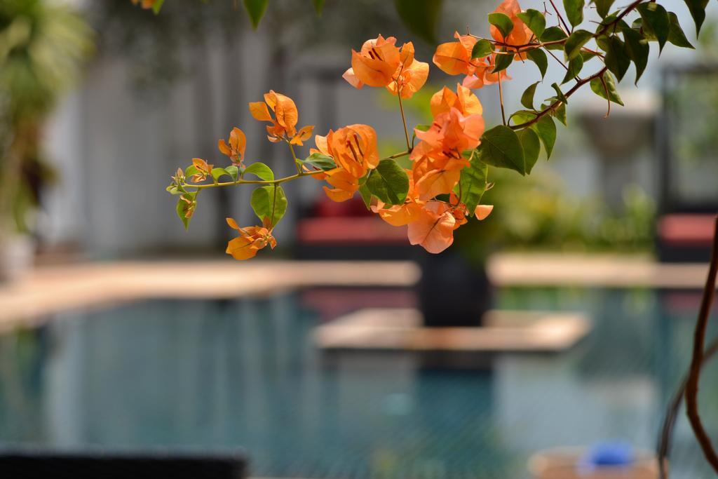 Eureka Villas Siem Reap Eksteriør bilde