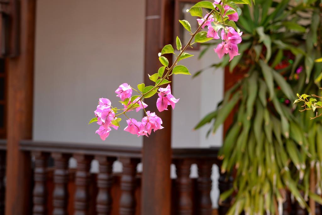 Eureka Villas Siem Reap Eksteriør bilde